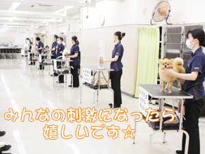２年生に向けて！先生の試技会♪②